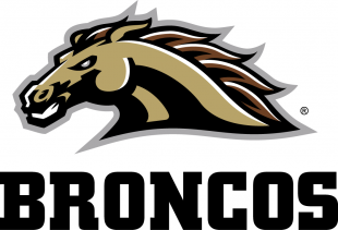 Western Michigan Broncos 2016-Pres Alternate Logo Sticker Heat Transfer