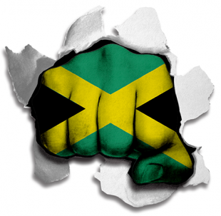 Fist Jamaica Flag Logo Sticker Heat Transfer