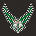 Airforce Boston Celtics Logo decal sticker