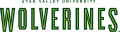 Utah Valley Wolverines 2008-Pres Wordmark Logo decal sticker