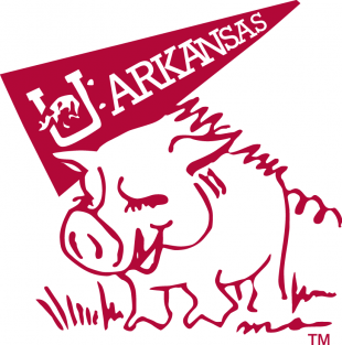 Arkansas Razorbacks 1969-1974 Mascot Logo Sticker Heat Transfer