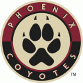 Arizona Coyotes 2008 09-2013 14 Alternate Logo Sticker Heat Transfer