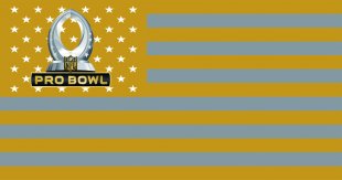 NFL Pro Bowl Flag001 logo decal sticker