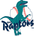 Ogden Raptors 2001-2014 Primary Logo decal sticker