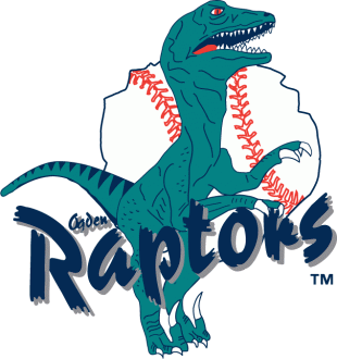Ogden Raptors 2001-2014 Primary Logo Sticker Heat Transfer