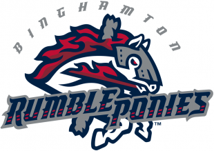 Binghamton Rumble 2017-Pres Primary Logo Sticker Heat Transfer