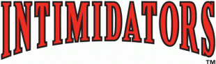 Kannapolis Intimidators 2001-Pres Wordmark Logo decal sticker