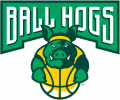 Ball Hogs 2017-Pres Primary Logo Sticker Heat Transfer
