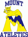 Mount St. Marys Mountaineers 1995-2003 Primary Logo decal sticker