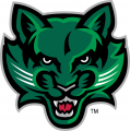 Binghamton Bearcats 2001-Pres Secondary Logo 03 decal sticker