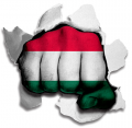 Fist Hungary Flag Logo decal sticker