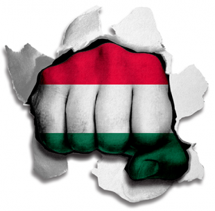 Fist Hungary Flag Logo Sticker Heat Transfer