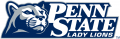 Penn State Nittany Lions 2001-2004 Alternate Logo 02 Sticker Heat Transfer