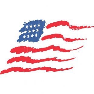Flag Logo 23