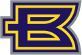 Birmingham Thunderbolts 2001 Alternate Logo 2 decal sticker