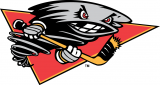 Cincinnati Cyclones 2001 02-2013 14 Alternate Logo decal sticker