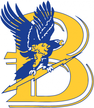 Bentley Falcons 1988-2012 Primary Logo decal sticker