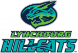 Lynchburg Hillcats 2017-Pres Primary Logo decal sticker