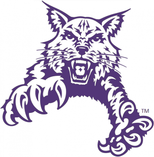 Abilene Christian Wildcats 1997-2012 Partial Logo 02 Sticker Heat Transfer