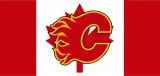 Calgary Flames Flag001 logo Sticker Heat Transfer