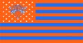 New York Knickerbockers Flag001 logo decal sticker