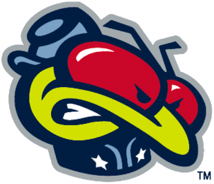 Columbus Blue Jackets 2000 01-2003 04 Alternate Logo 02 decal sticker