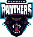 Penrith Panthers 1998-2012 Primary Logo Sticker Heat Transfer