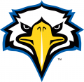 Morehead State Eagles 2005-Pres Secondary Logo 02 decal sticker