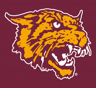 Bethune-Cookman Wildcats 2000-2015 Alternate Logo 02 decal sticker