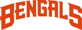 Cincinnati Bengals 1997-2003 Wordmark Logo 03 decal sticker