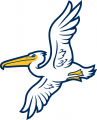 Myrtle Beach Pelicans 2007-Pres Alternate Logo decal sticker