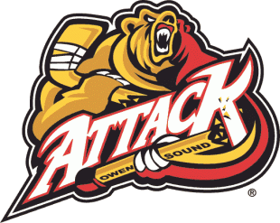 Owen Sound Attack 1999 00-2010 11 Primary Logo Sticker Heat Transfer