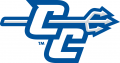 Central Connecticut Blue Devils 2011-Pres Alternate Logo 03 decal sticker