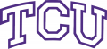 TCU Horned Frogs 1995-Pres Wordmark Logo 03 decal sticker