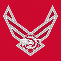 Airforce Atlanta Hawks Logo decal sticker