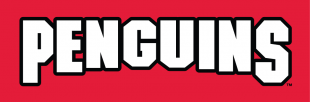 Youngstown State Penguins 1993-Pres Wordmark Logo 03 Sticker Heat Transfer