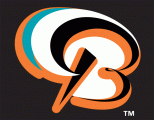 Bowie BaySox 2002-Pres Cap Logo 2 Sticker Heat Transfer