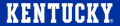 Kentucky Wildcats 2016-Pres Wordmark Logo 07 decal sticker