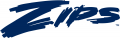 Akron Zips 2002-2007 Wordmark Logo 02 decal sticker