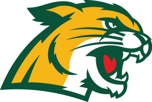Northern Michigan Wildcats 2016-Pres Secondary Logo 01 Sticker Heat Transfer