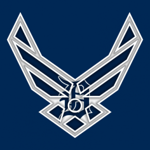Airforce Detroit Tigers logo decal sticker