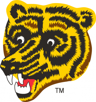 Boston Bruins 1976 77-1994 95 Alternate Logo decal sticker