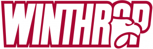 Winthrop Eagles 1995-Pres Wordmark Logo 02 decal sticker