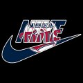 Minnesota Twins Nike logo decal sticker