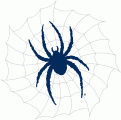 Richmond Spiders 2002-Pres Alternate Logo 05 Sticker Heat Transfer