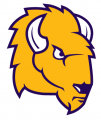Lipscomb Bisons 2012-Pres Secondary Logo decal sticker