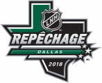 NHL Draft 2017-2018 Alt. Language Logo Sticker Heat Transfer