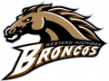 Western Michigan Broncos 1998-2015 Primary Logo Sticker Heat Transfer