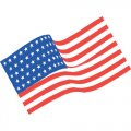 Flag Logo 04