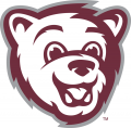 Montana Grizzlies 2010-Pres Mascot Logo 04 decal sticker
